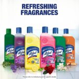 Lizol Disinfectant Surface & Floor Cleaner (Citrus) - Image 4